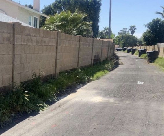 Alley cleanup — before