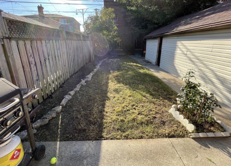 Backyard revival — after