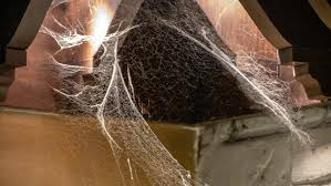 Cleaning up spider webs